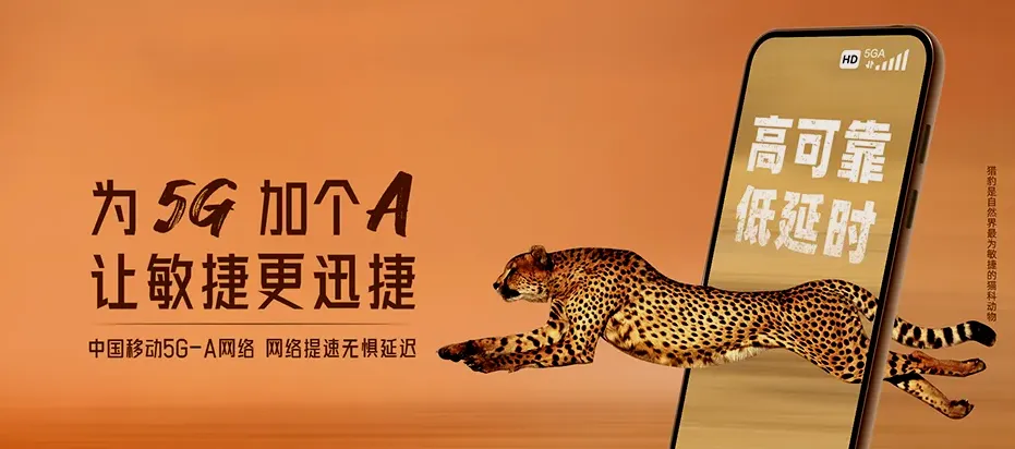 阜南县阜南县张寨镇 移动宽带