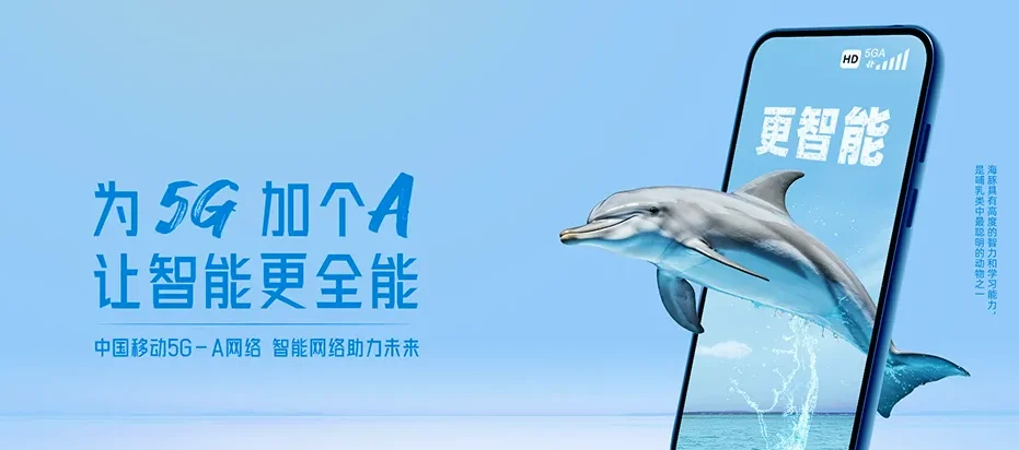 阜南县阜南县中岗镇 移动宽带